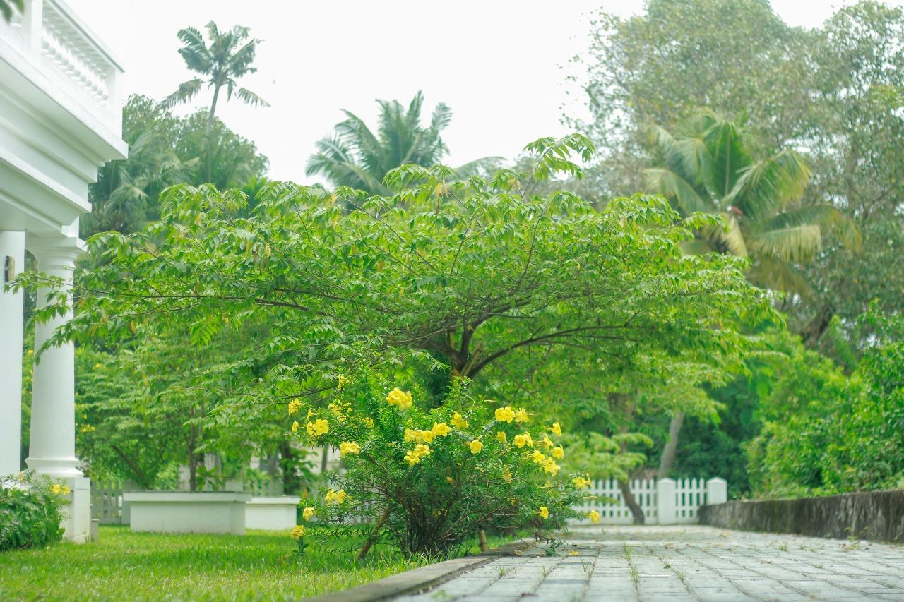 Muziris Harbour View Hotel Kochi Kültér fotó